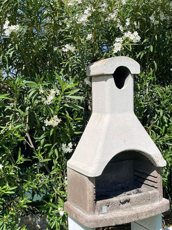 Outdoor barbecue surrounded by oleander blossoms