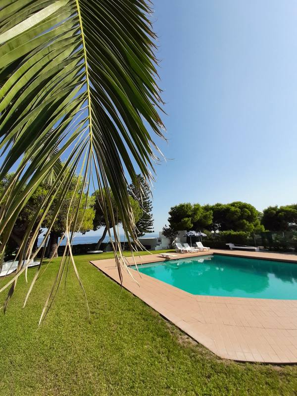 Pool framed by a palm leaf with sea view beyond